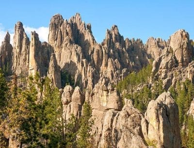 Custer State Park hills