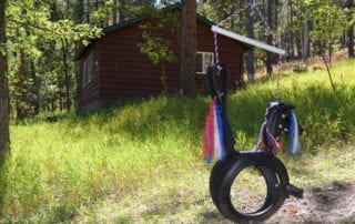 Hugo Cabin tire swing