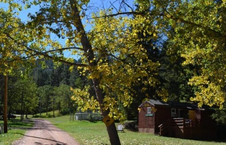 view of cabin from the road