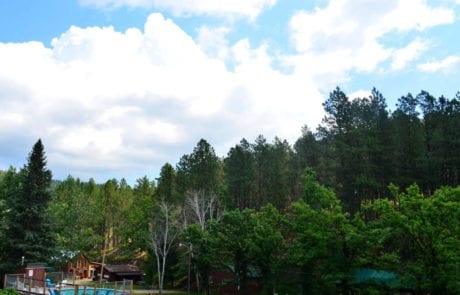 cabins and pool, trees and sky