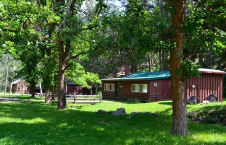cabins and trees